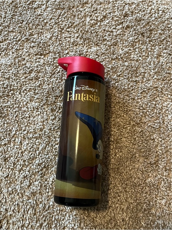 Disney Other - Disney Fantasia water Bottle